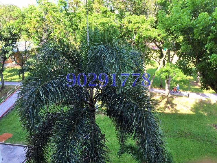 Blk 126 Hougang Avenue 1 (Hougang), HDB 4 Rooms #104720942
